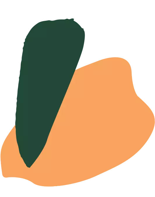 Illustration feuille verte sur feuille orange